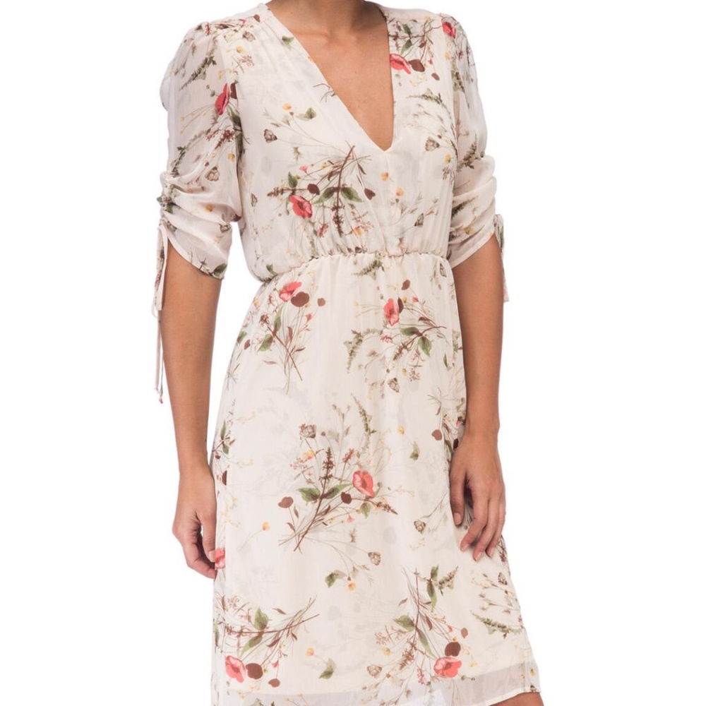 Ruch Sleeve Floral Print Dress
